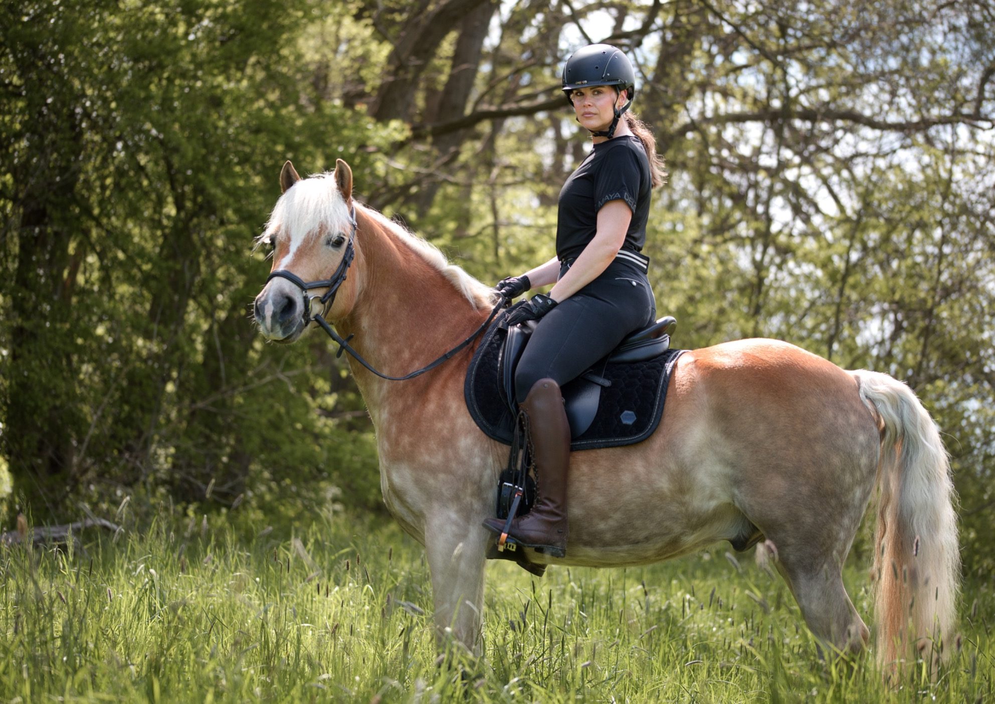Frau auf Pferd sitzend Frau sitzt auf einem Pferd, ein Haflinger