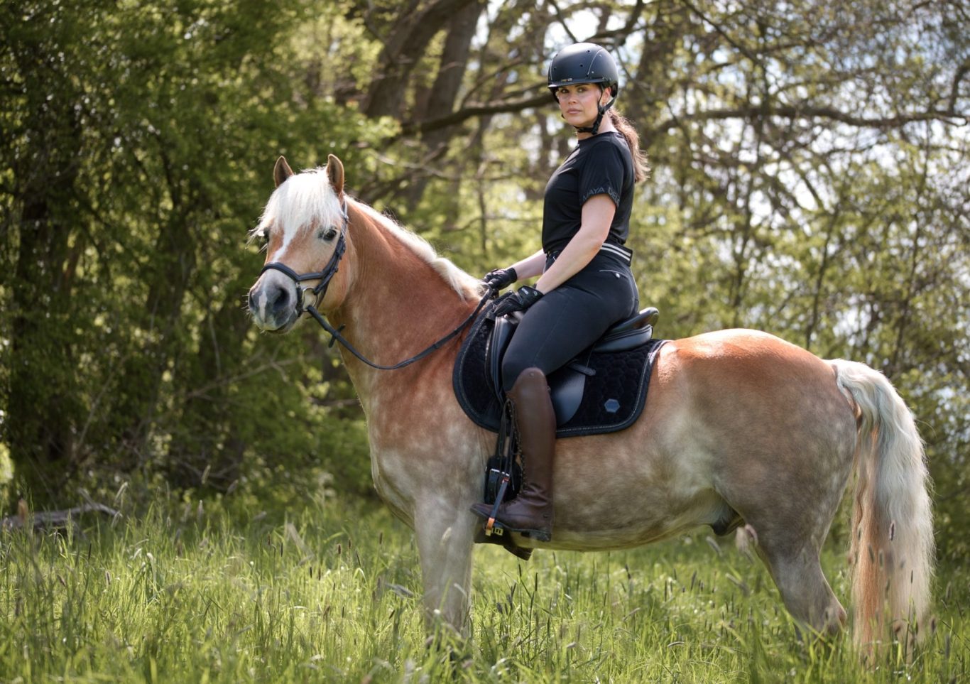 Frau sitzt auf einem Pferd, ein Haflinger