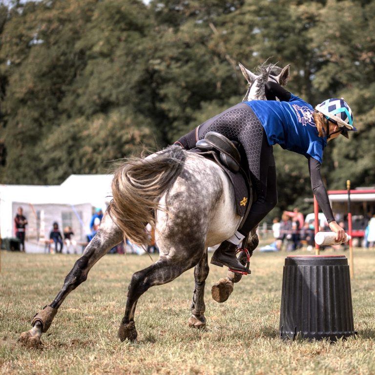 Frau galoppiert mit Pferd an einer Tonne vorbei und nimmt dabei eine Flasche von der Tonne auf Frau galoppiert mit Pferd an einer Tonne vorbei und nimmt dabei eine Flasche von der Tonne auf. Das Pferd ist ein Schimmel.